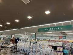 カインズ　龍ケ崎店