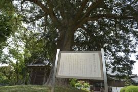東源寺