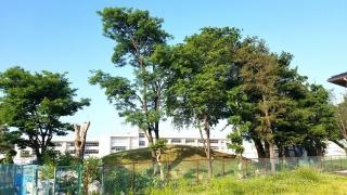 城北小学校