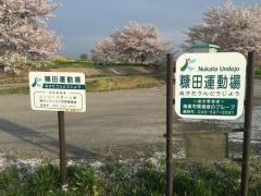 糠田運動場
