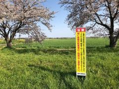 糠田運動場