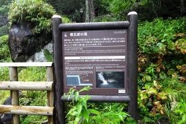 善五郎の滝