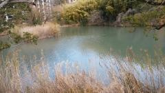 藤白公園