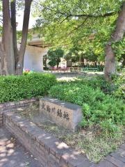 大物川緑地