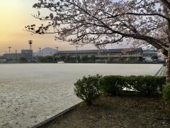熊本市立日吉中学校