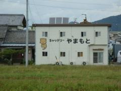 キャッテリーやまもと