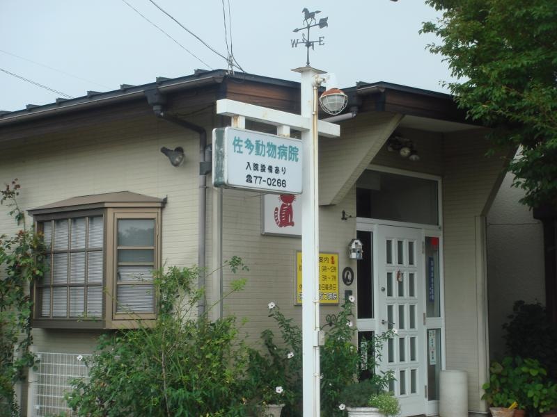 佐多動物病院