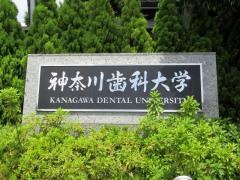 神奈川歯科大学大学院