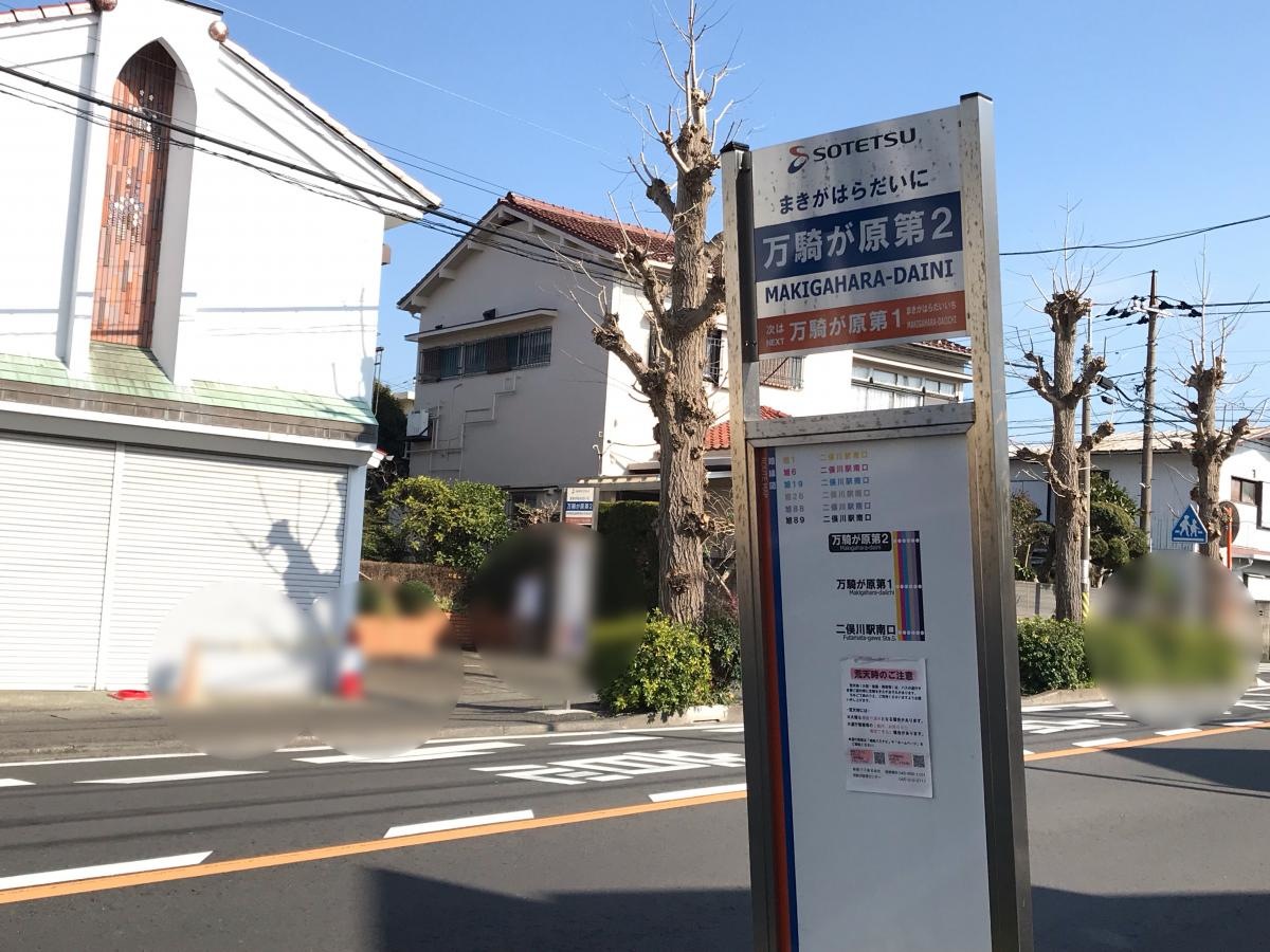 全体