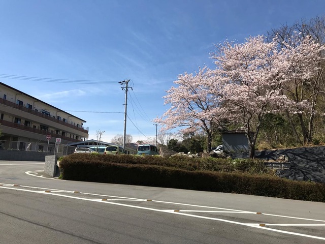 安全の里 雰囲気