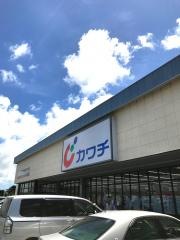カワチ薬品　館山店
