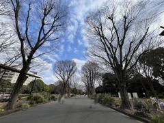 駒沢オリンピック公園