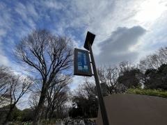 駒沢オリンピック公園