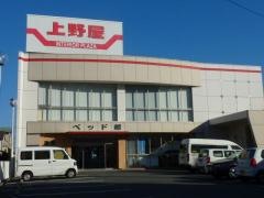上野屋上島店