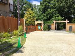 自然幼稚園