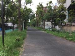 杣場川緑道