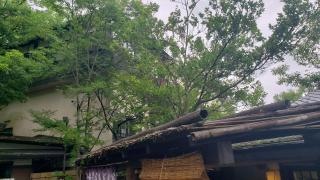山のホテル夢想園