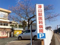 津山獣医科病院