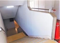 シャイン