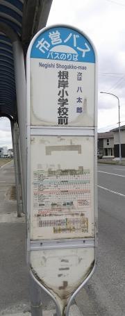 「根岸小学校前」バス停留所