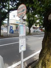 「さくら通り」バス停留所