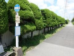 「西芝」バス停留所