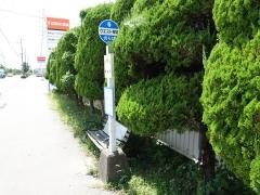 「西芝」バス停留所