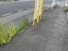 「埴生」バス停留所