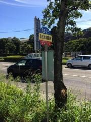 「市民体育館前」バス停留所
