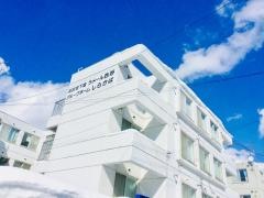 しらかば