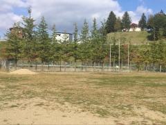 松園中央公園