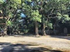 闘鶏公園