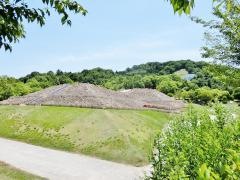 三ツ城公園