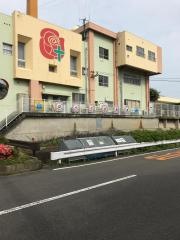 ばらの幼稚園