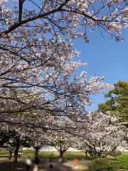 宮崎県総合文化公園