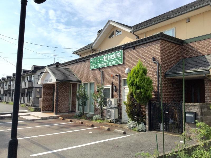 アイビー動物病院