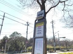「桜木保育所」バス停留所
