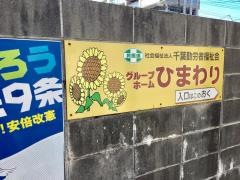 ひまわり