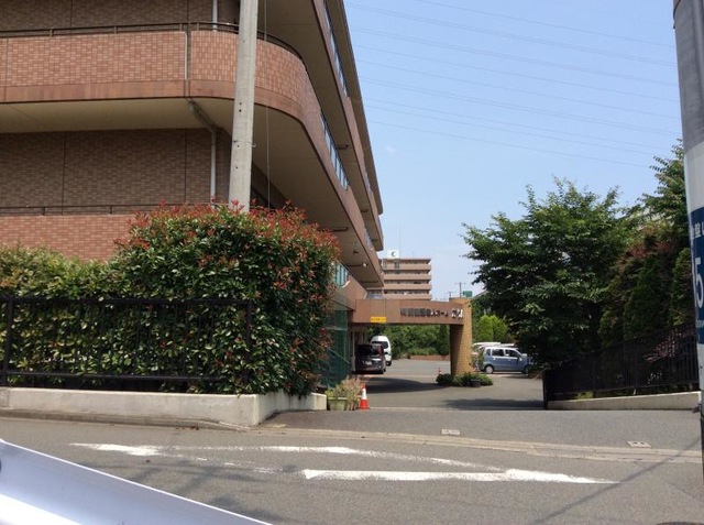 かりん