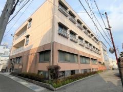 いこいの森