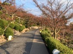 千光寺公園