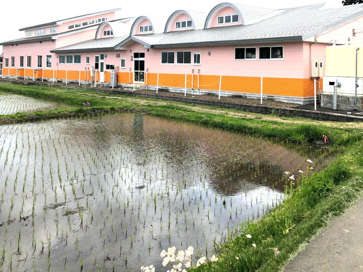 赤石幼稚園