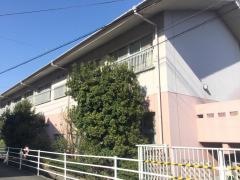 興津北こども園