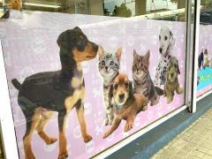ペットショップＣＯＯ＆ＲＩＫＵ横浜旭店