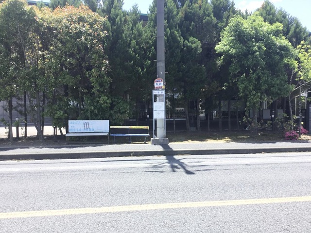 投稿写真4