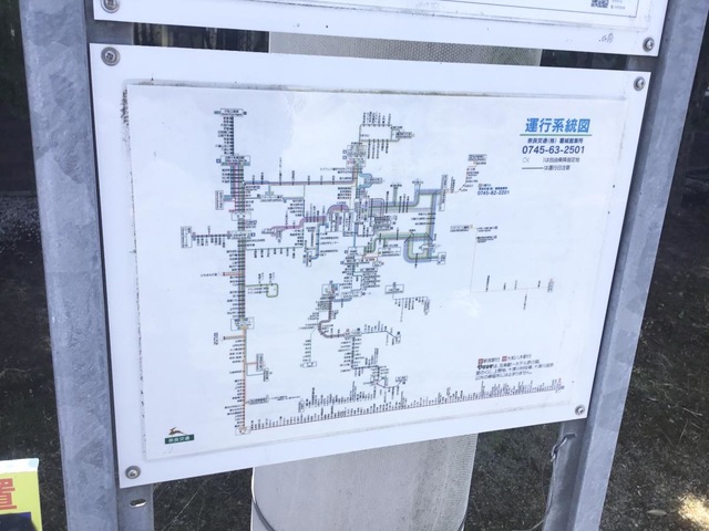 投稿写真1