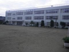 鳴瀬桜華小学校