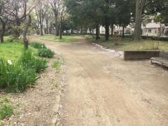 青葉公園