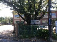 桜木小学校