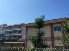 桜木小学校